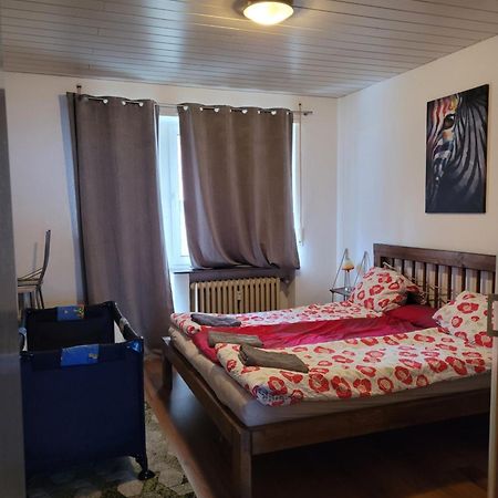 Apartments Nikol - Ludwigshafen 외부 사진