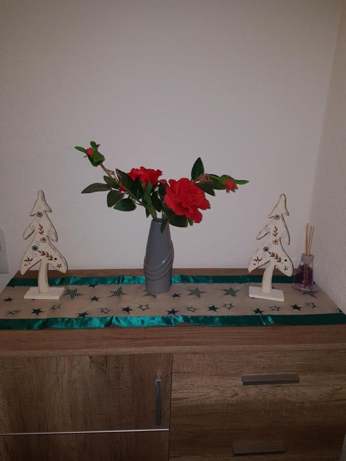 Apartments Nikol - Ludwigshafen 외부 사진